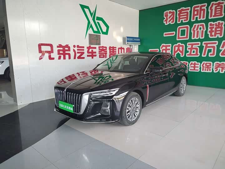 Hongqi H5, 2024 — купить в Саранске под ключ