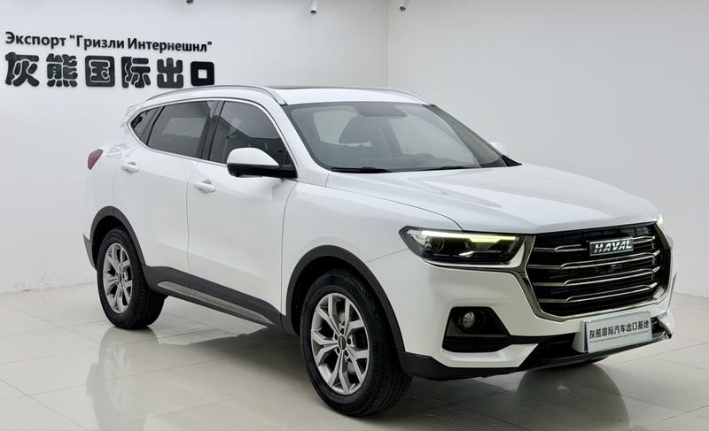 Haval H6, 2021 — фото 3 из 12