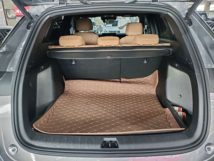 BYD Song L DM-i Hybrid, 2024 — фото 4 из 9