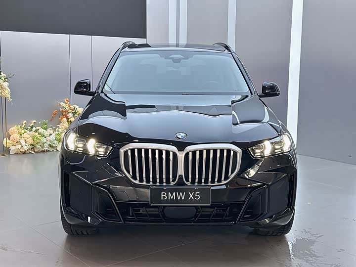 BMW X5, 2025 — фото 2 из 9