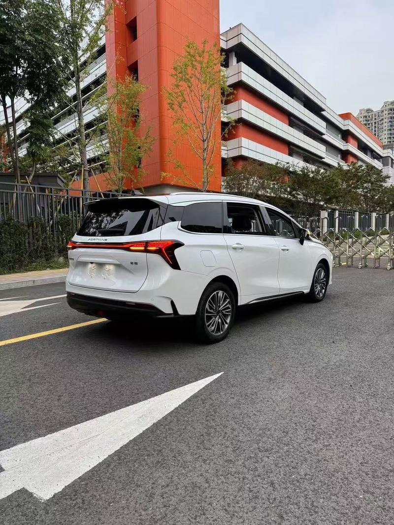 Dongfeng Forthing Yacht, 2023 — фото 7 из 12