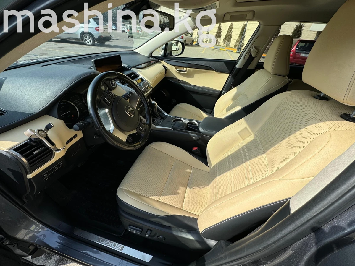 Lexus NX, 2021 — фото 4 из 6