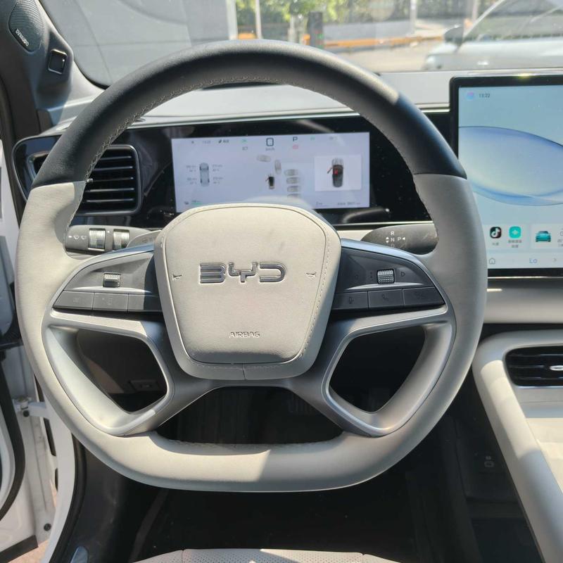 BYD Sea Lion 06 Hybrid/EV, 2025 — фото 8 из 12