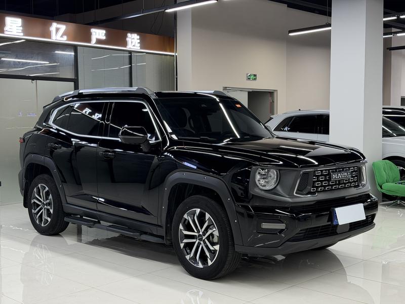 Haval H-Dog, 2023 — фото 3 из 12