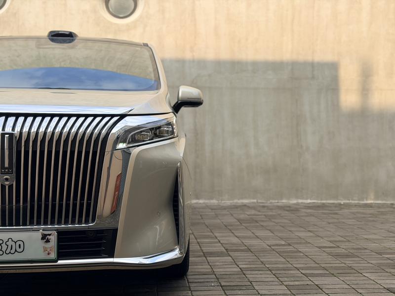 Wey 80 Hybrid, 2025 — фото 8 из 12