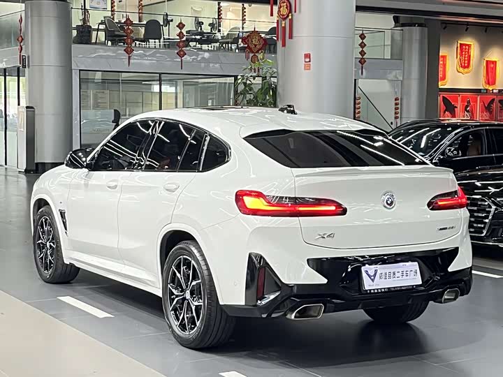 BMW X4, 2024 — фото 9 из 9