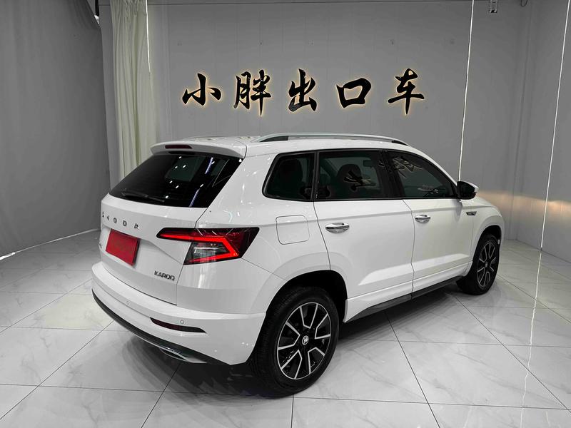 Skoda Karoq, 2022 — фото 6 из 12