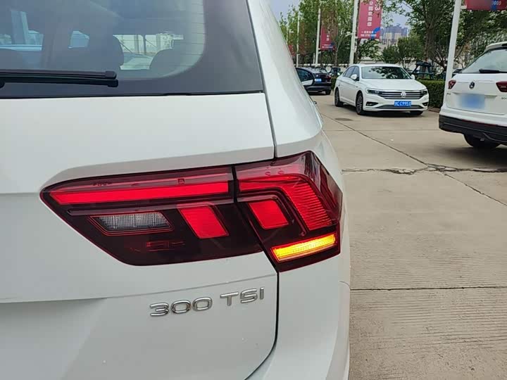 Volkswagen Tiguan L Pro, 2024 — фото 8 из 9