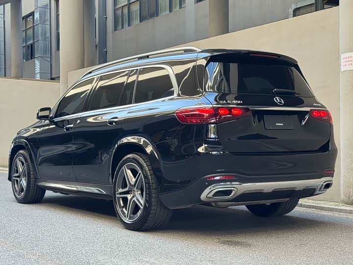 Mercedes-Benz GLS-Class, 2024 — фото 9 из 9
