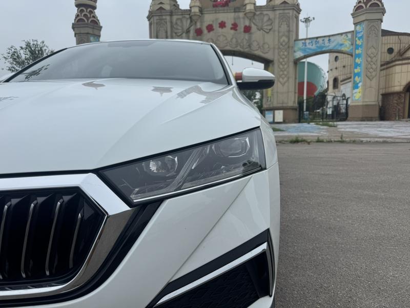 Skoda Octavia Pro, 2023 — фото 8 из 12
