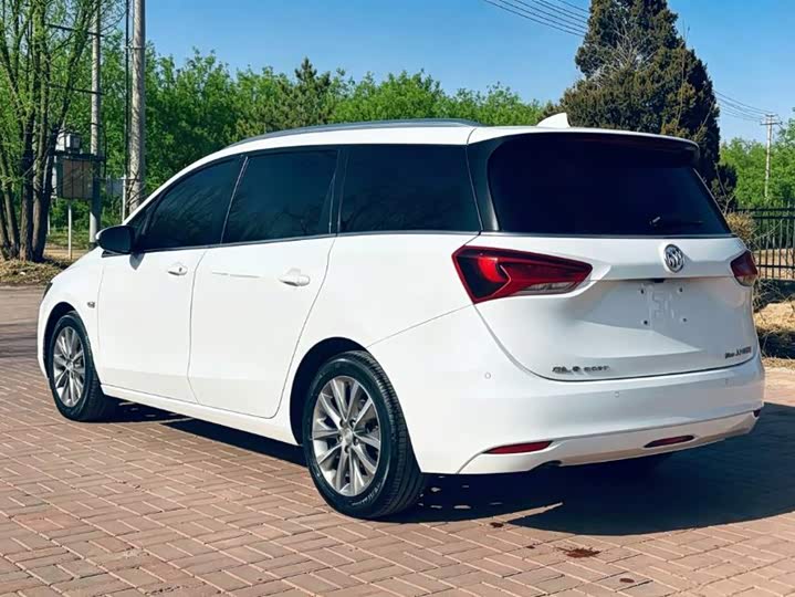 Buick GL6, 2023 — фото 6 из 9