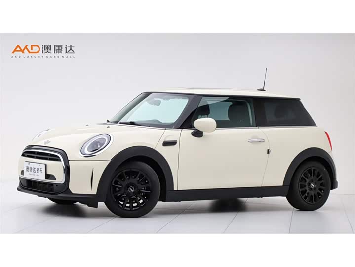 Mini Mini, 2022 — купить в Самаре под ключ