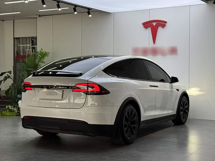 Tesla Model X, 2023 — фото 7 из 9