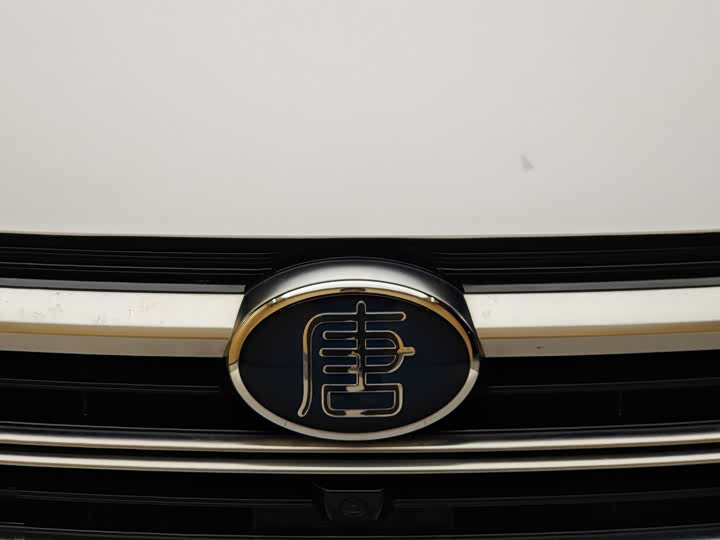 BYD Tang Hybrid/EV, 2023 — фото 3 из 9