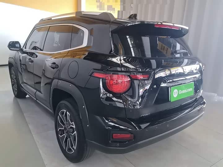 Haval H-Dog Hybrid, 2023 — фото 5 из 9
