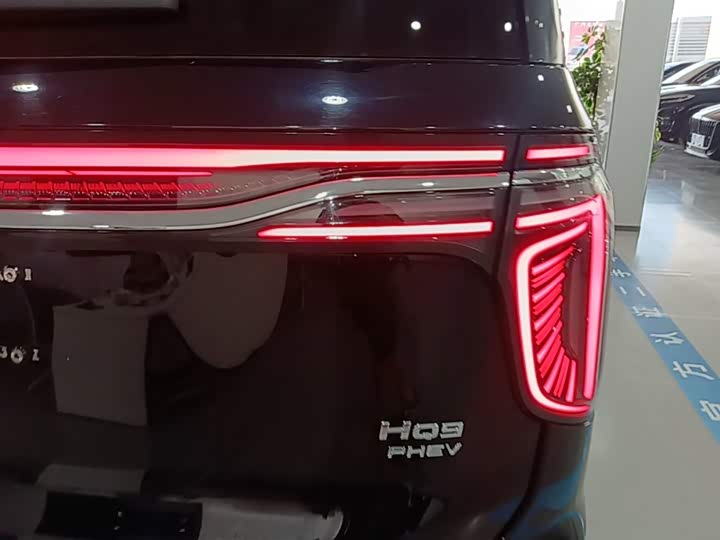 Hongqi HQ9 Hybrid, 2024 — фото 8 из 9