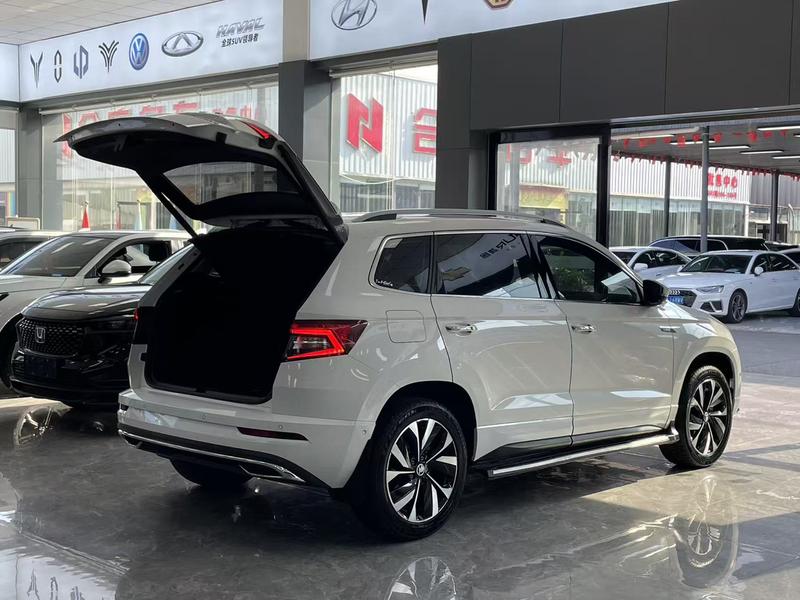 Skoda Karoq, 2021 — фото 6 из 12