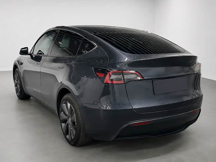 Tesla Model Y, 2024 — фото 8 из 9