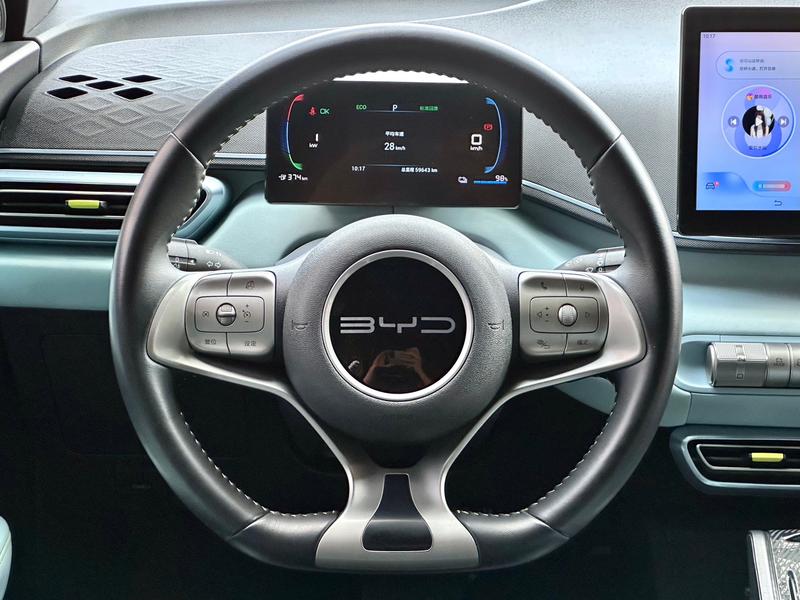 BYD Seagull, 2023 — фото 10 из 12