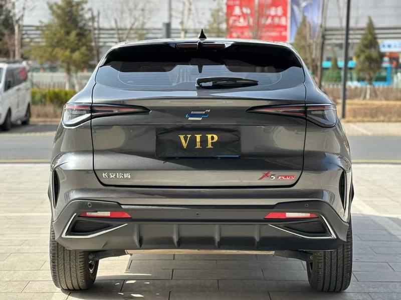Changan Oshan X5 Plus, 2023 — фото 5 из 10