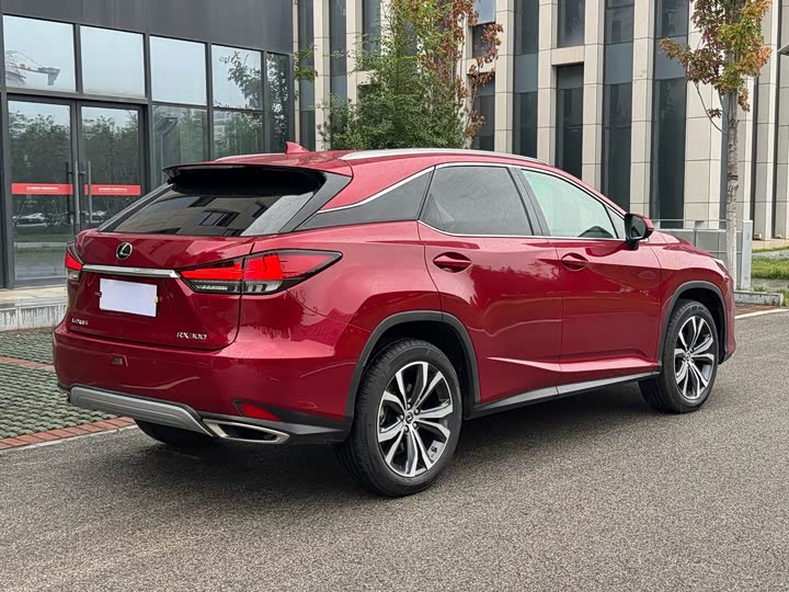 Lexus RX, 2022 — фото 6 из 9