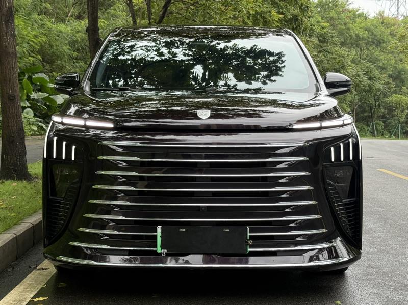 Dongfeng Forthing Xinghai V9, 2025 — фото 2 из 12