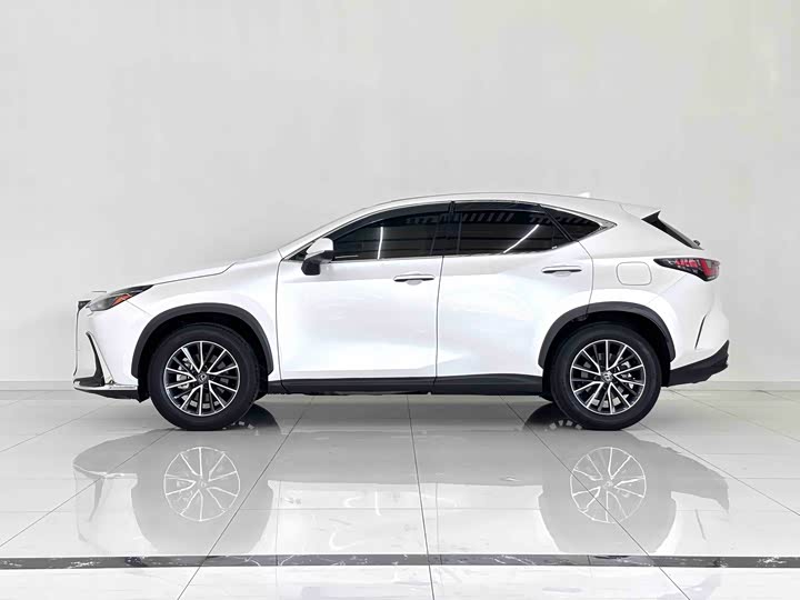 Lexus NX, 2023 — фото 6 из 9