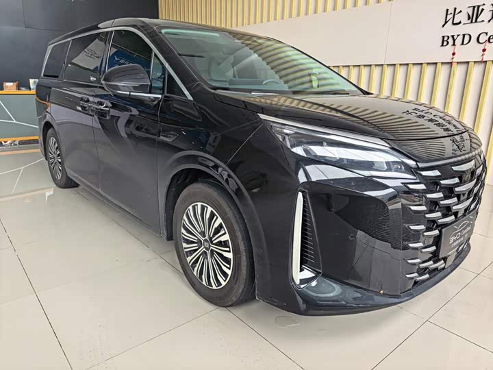 BYD Xia, 2025 — фото 3 из 9
