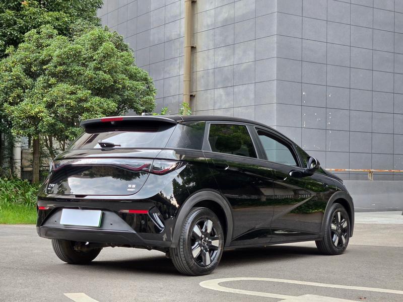 BYD Dolphin, 2025 — фото 7 из 12
