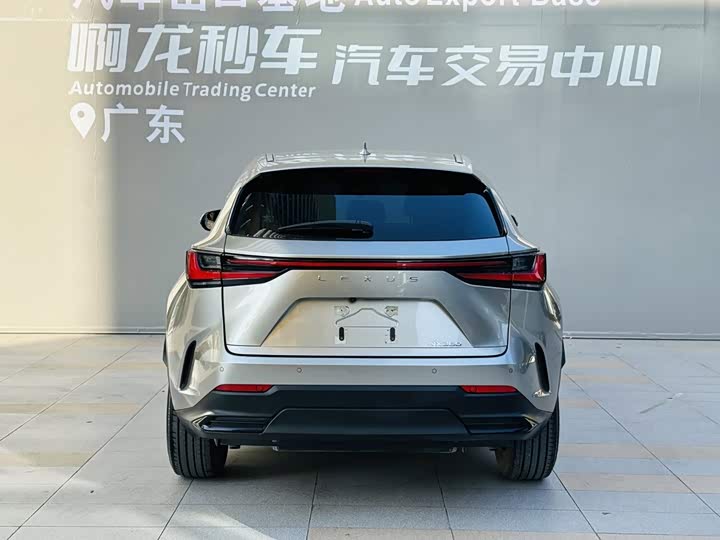 Lexus NX, 2024 — фото 5 из 9