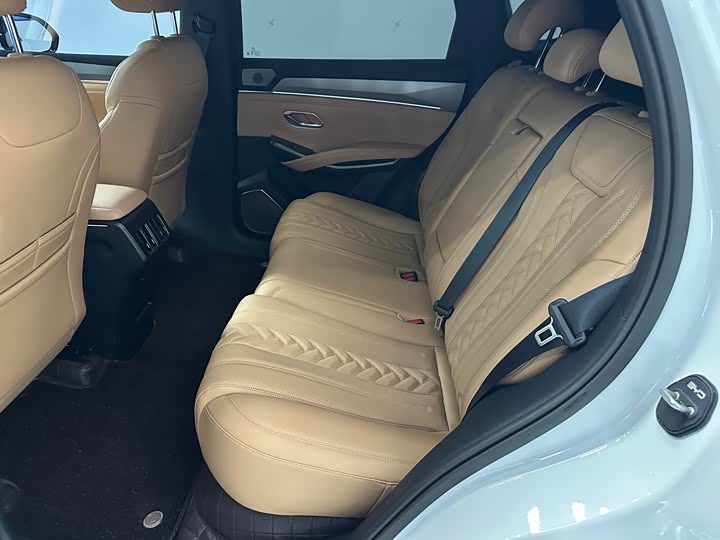 BYD Song L DM-i Hybrid, 2024 — фото 8 из 9