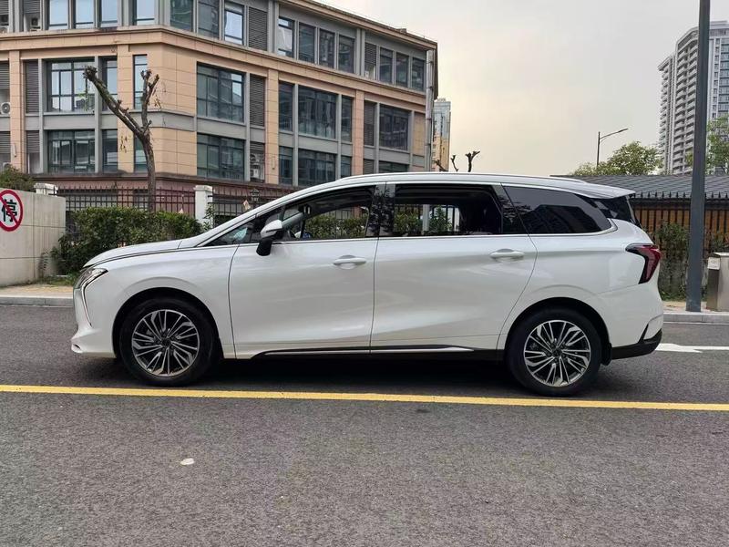 Dongfeng Forthing Yacht, 2023 — фото 4 из 12