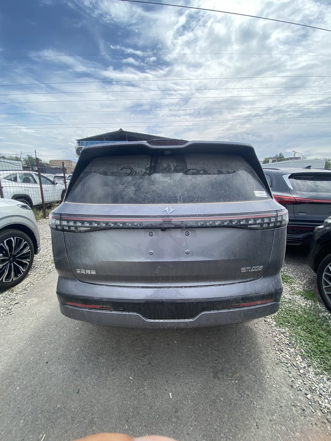 Dongfeng EP 008, 2026 — фото 7 из 12