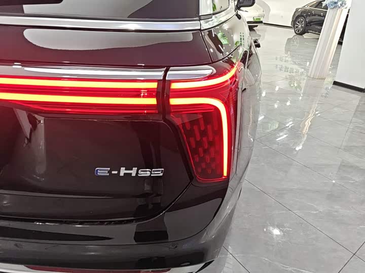 Hongqi E-HS9, 2023 — фото 8 из 9
