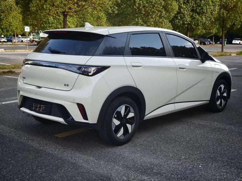 BYD Dolphin, 2026 — фото 6 из 12