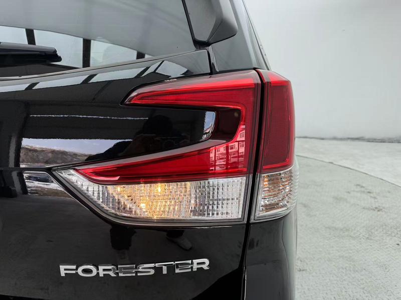 Subaru Forester, 2022 — фото 7 из 12