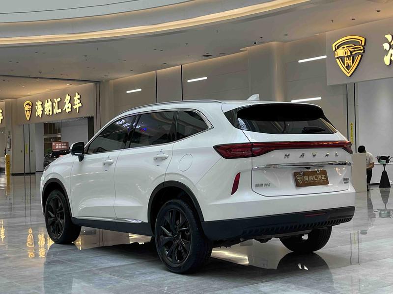 Haval H6, 2021 — фото 4 из 12