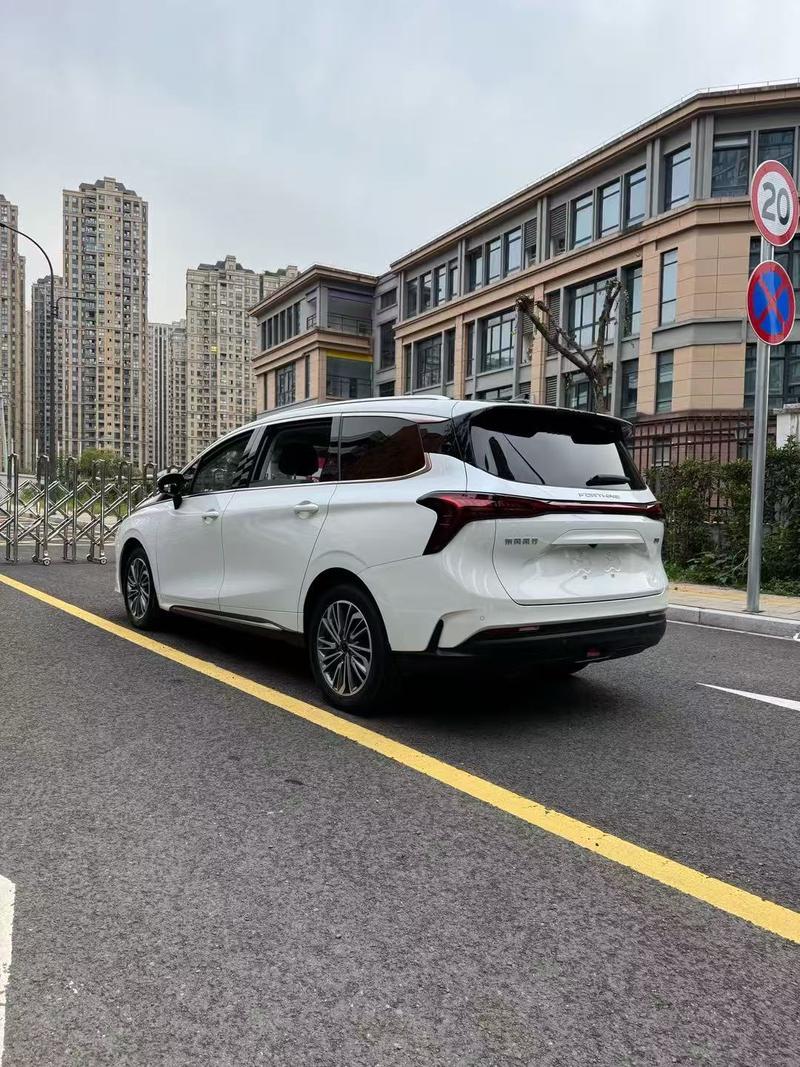 Dongfeng Forthing Yacht, 2023 — фото 5 из 12