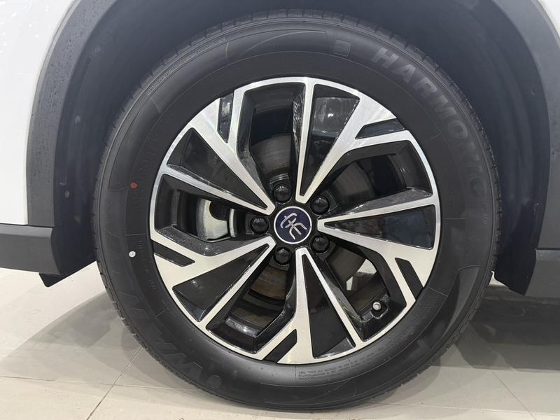 BYD Song Pro Hybrid, 2024 — фото 6 из 12