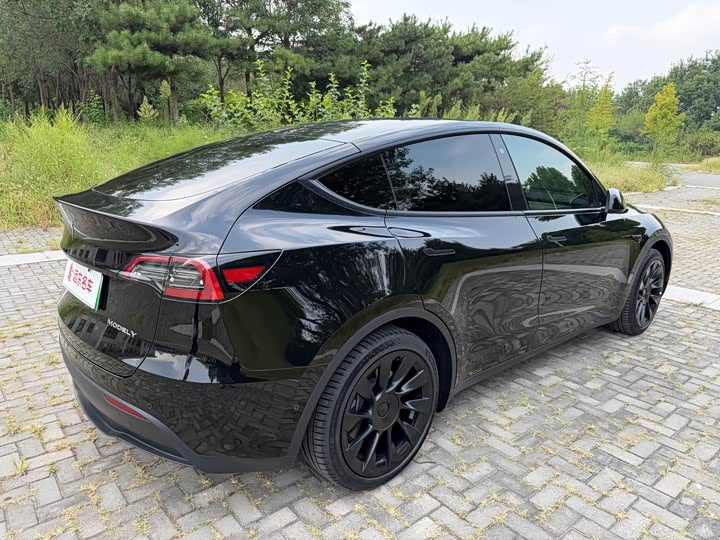 Tesla Model Y, 2022 — фото 9 из 9