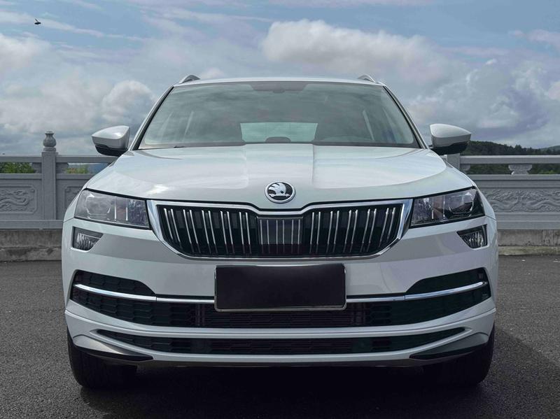 Skoda Karoq, 2023 — фото 2 из 12