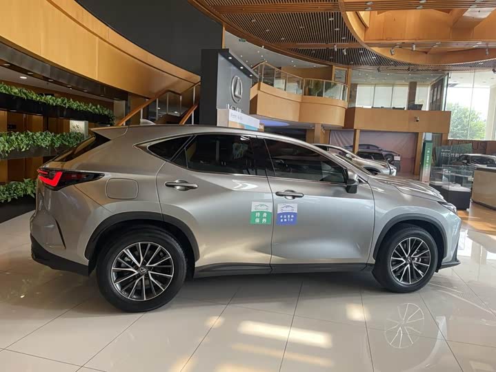Lexus NX Hybrid, 2023 — фото 4 из 9