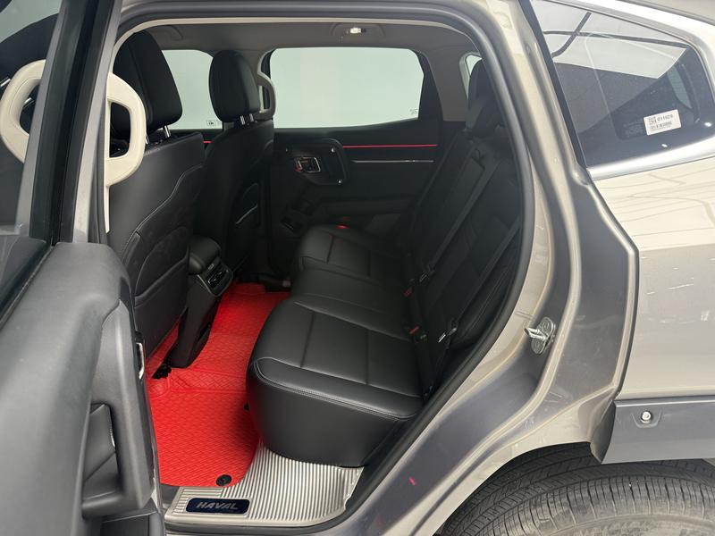 Haval H-Dog Hybrid, 2023 — фото 11 из 12