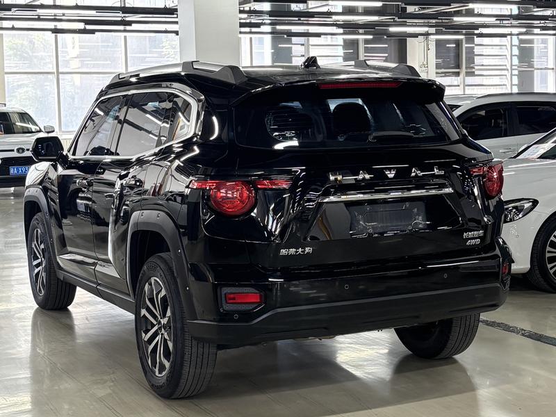 Haval H-Dog, 2023 — фото 4 из 12