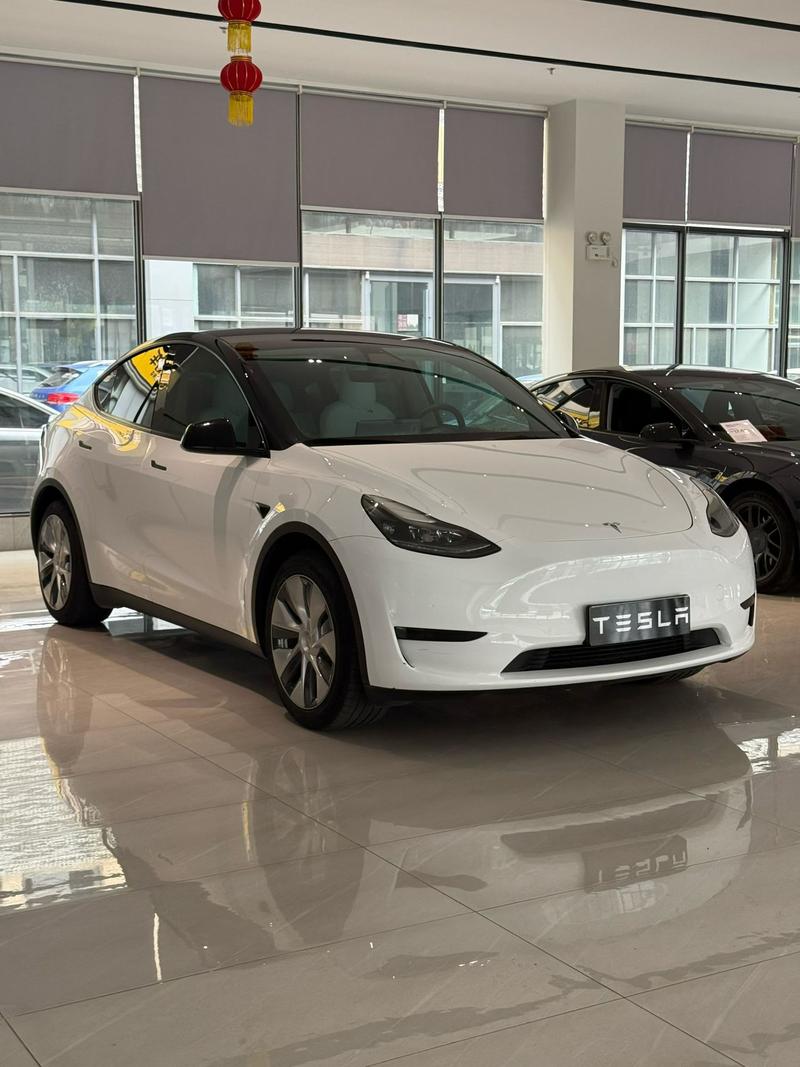 Tesla Model Y, 2022 — фото 3 из 10