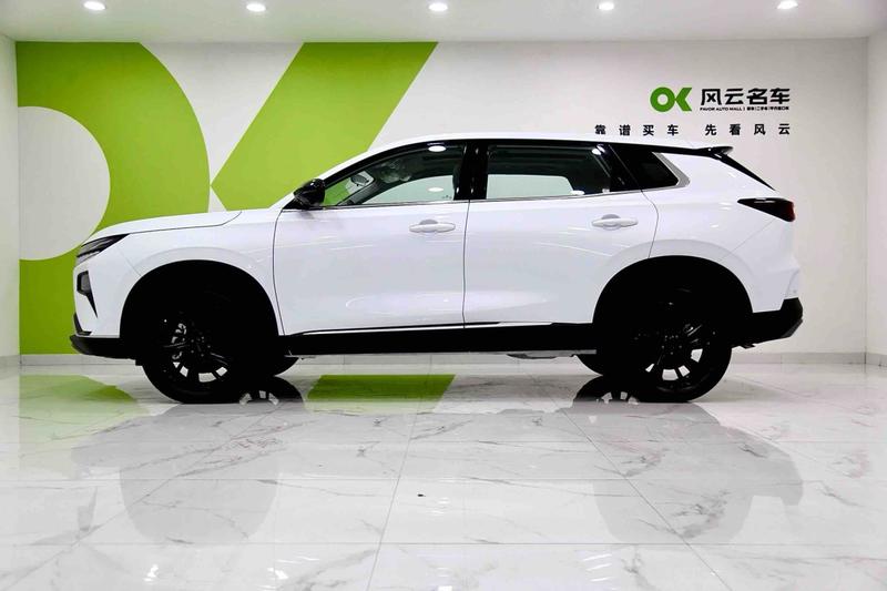 Dongfeng Aeolus Huge, 2026 — фото 4 из 8