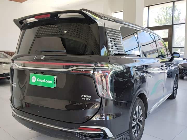 Hongqi HQ9 Hybrid, 2024 — фото 7 из 9
