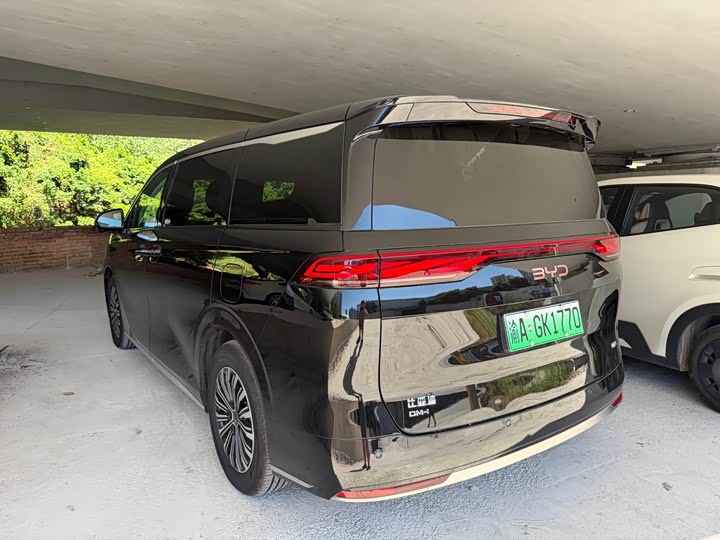 BYD M9, 2025 — фото 8 из 9