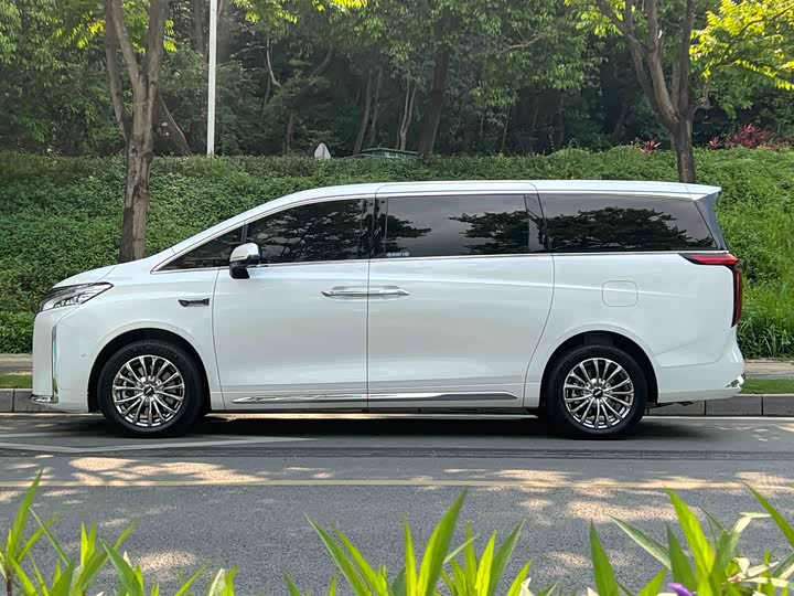 Wey 80 Hybrid, 2025 — фото 2 из 9