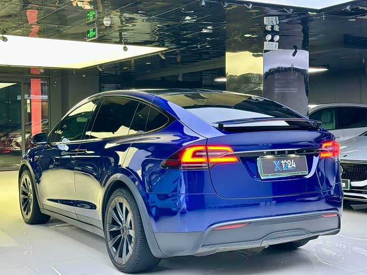 Tesla Model X, 2023 — фото 6 из 9